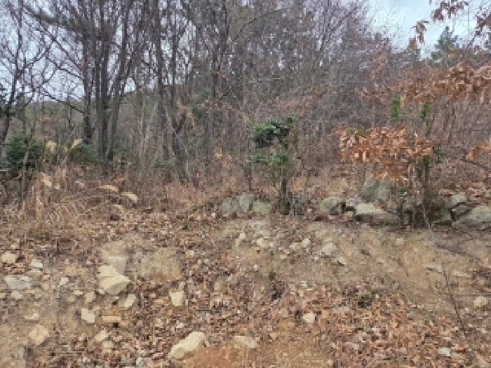 제5호 임야