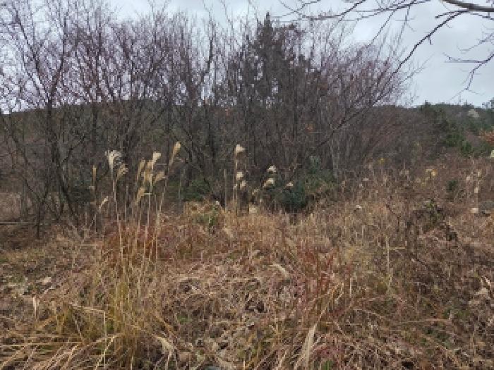 제5호 임야