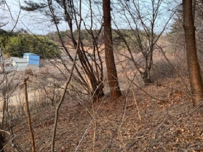 본건 전경