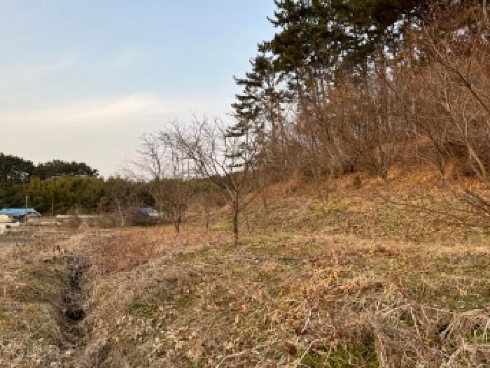 본건 전경(산자락에는 일부 과수 식재)