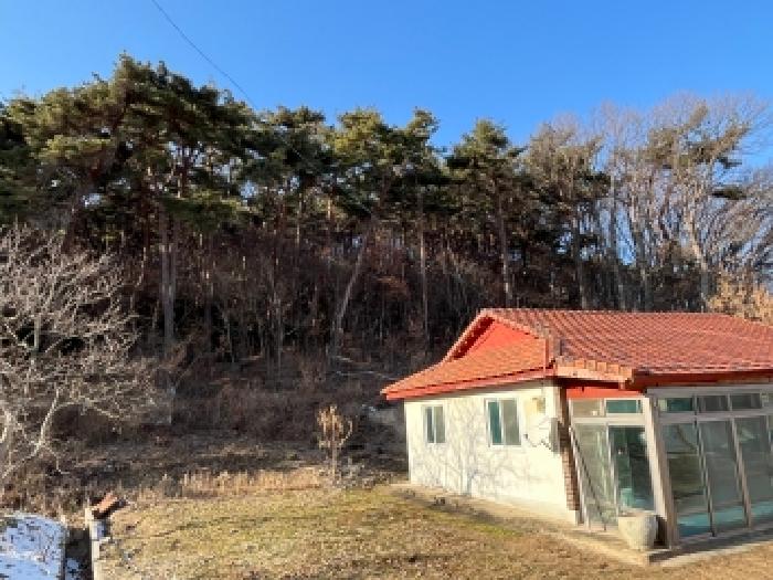 본건 전경
