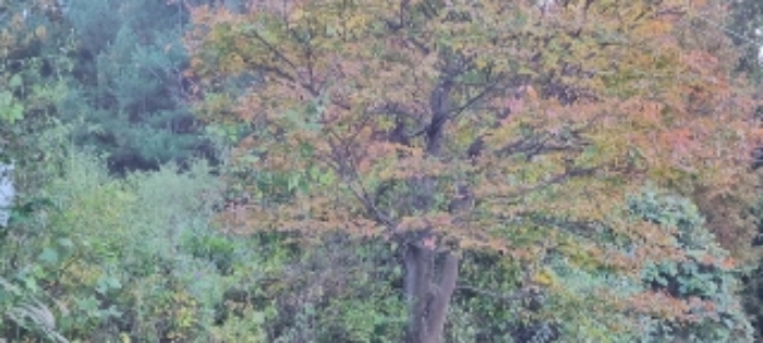 장수 계북 임평 321-1 경매물건5번 현황 사진