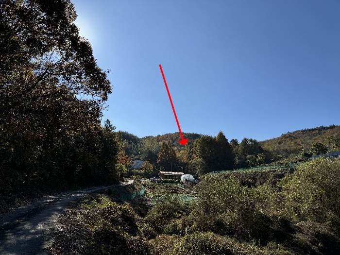 일련번호(8) 토지 전경