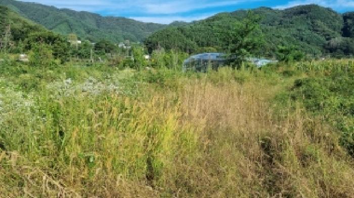 장수 계남 가곡 892 경매물건1번(현,묵답) 사진