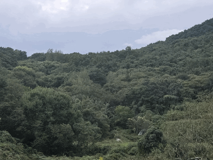 본건 전경