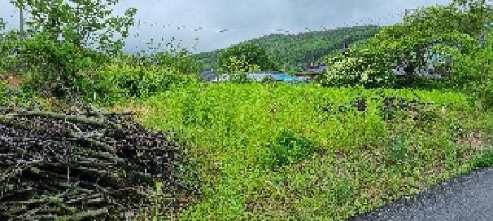 남원 아영 구상 487-1 경매물건1번(현,나대지) 사진