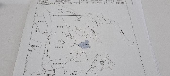 남원 아영 구상 산41-2 지적도면 사진