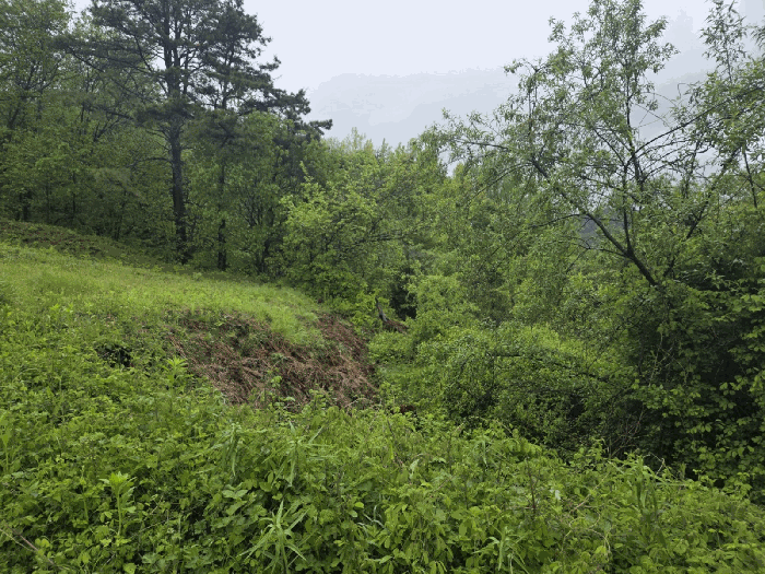 일련번호6) 전경