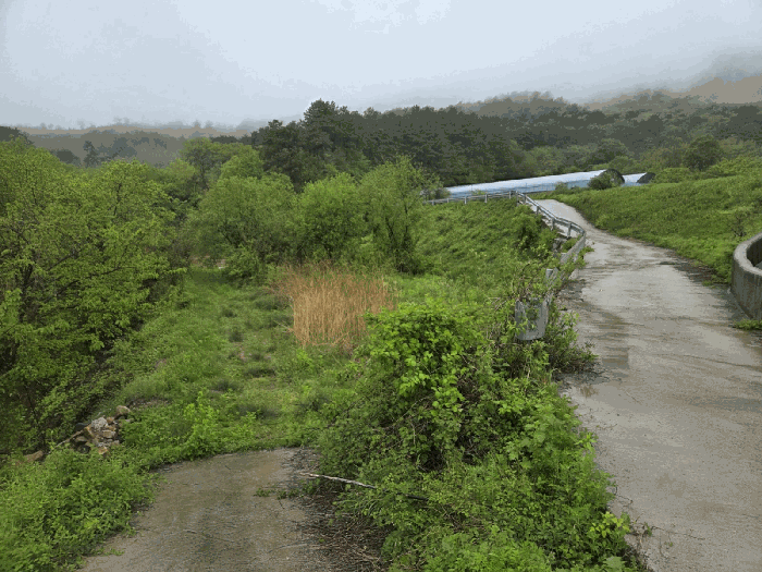 일련번호8) 전경