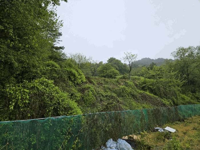 일련번호9) 전경