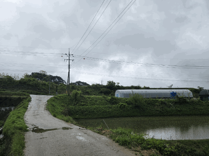 일련번호13) 전경