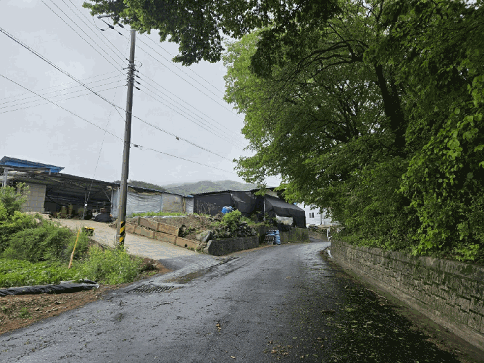 일련번호11) 전경