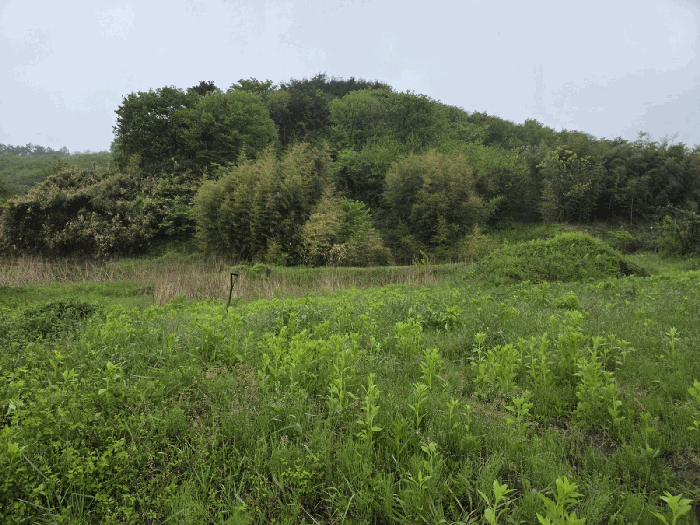 일련번호10) 전경