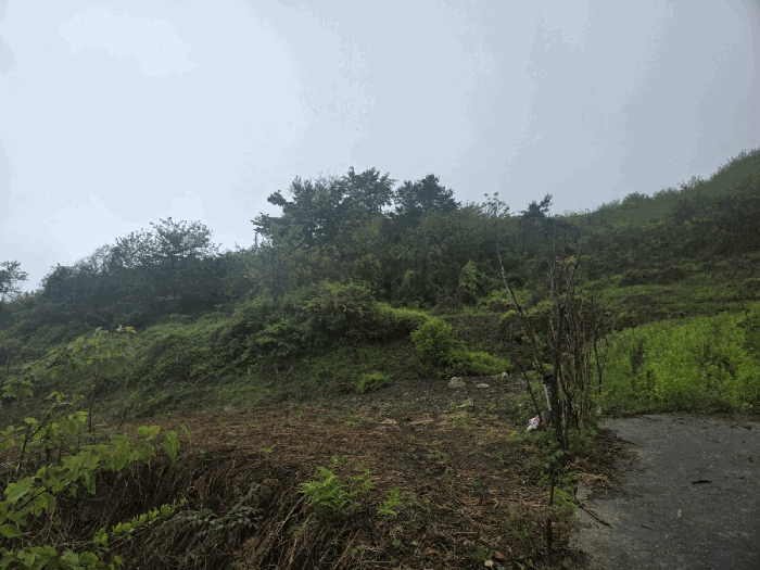 일련번호2) 전경