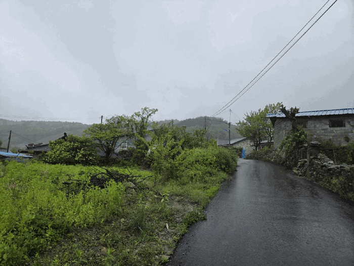 일련번호1) 전경