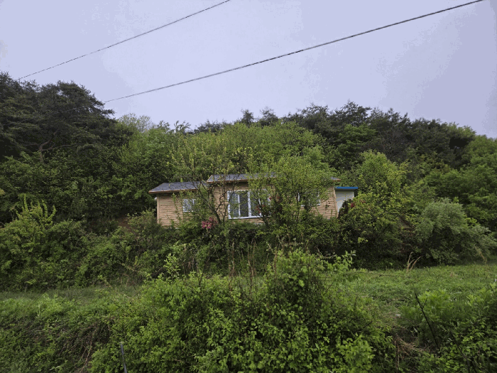 일련번호3,4) 및 제시외건물(ㄴ) 현황