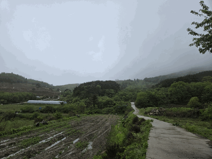 일련번호5) 전경