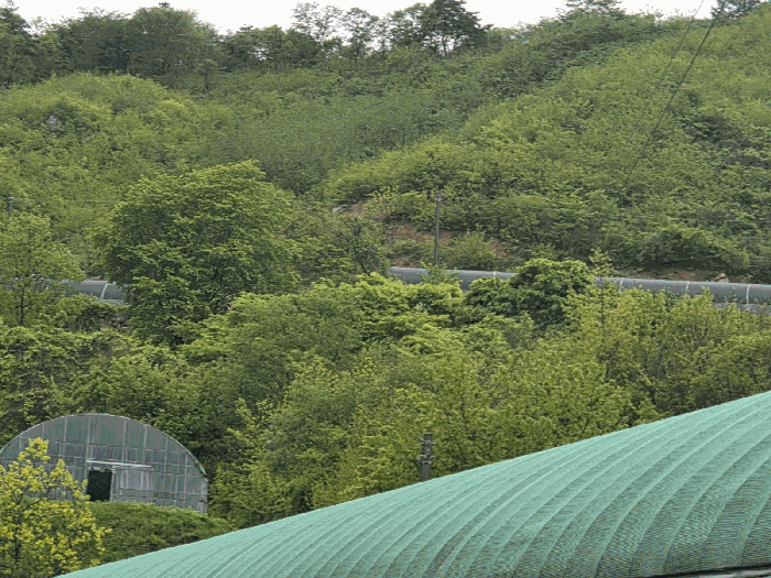 일련번호7) 전경