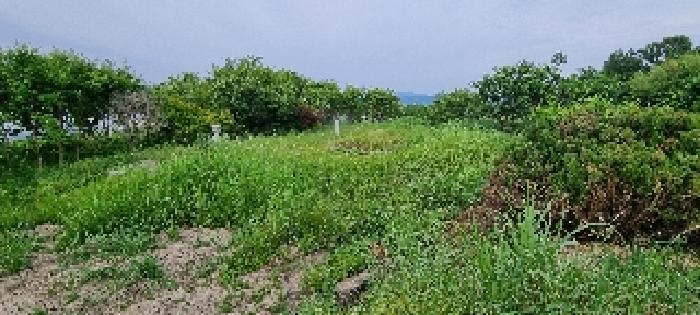 남원시 금지면 입암리 758 경매물건1번 및 지상제시외 분묘3기 소재 전체 사진