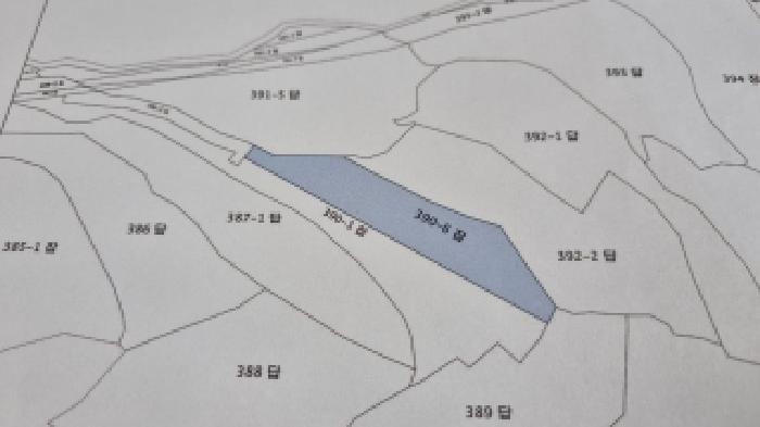 2025타경30251