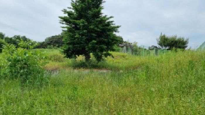 남원 광치 산124 경매물건7번(현,임야) 중 임야부분 사진