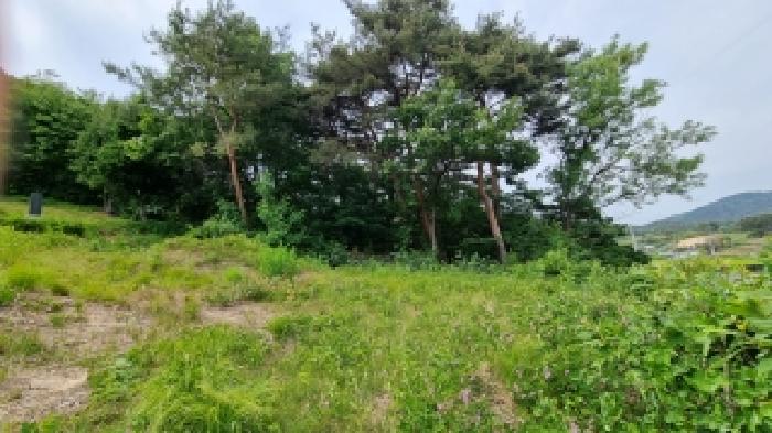 남원 광치 산125 경매물건8번(현,임야) 남쪽방면에서 바라 본 사진