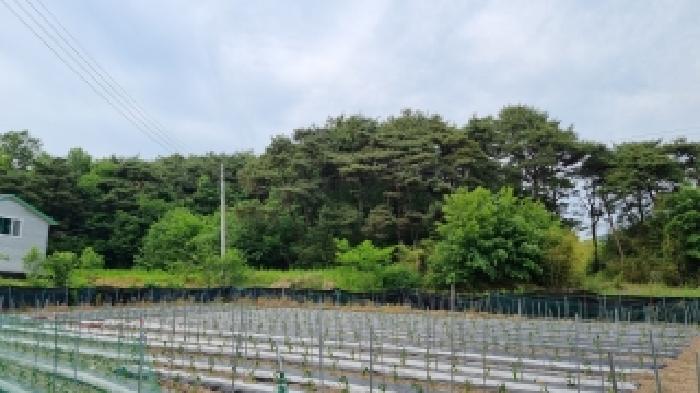 남원 광치 산124 경매물건7번(현,임야) 중 임야부분 사진