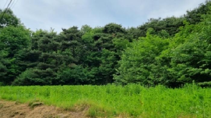 남원 광치 산124 경매물건7번(현,임야) 중 임야부분 사진