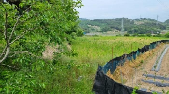 남원 광치 산124 경매물건7번(현,임야) 중 임야부분 사진