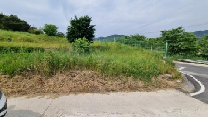 남원 광치 산124 경매물건7번(현,임야) 중 일부 묘지로 이용중인 부분 사진