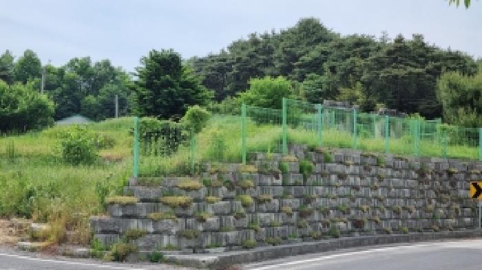 남원 광치 산124 경매물건7번(현,임야) 중 일부 묘지로 이용중인 부분 사진