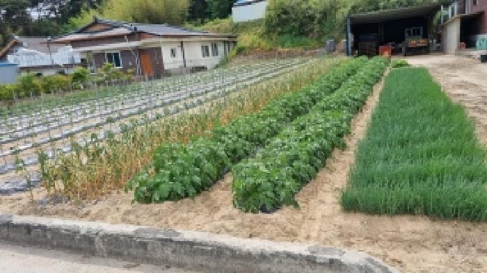 남원 광치 271 경매물건1번(현,전) 사진