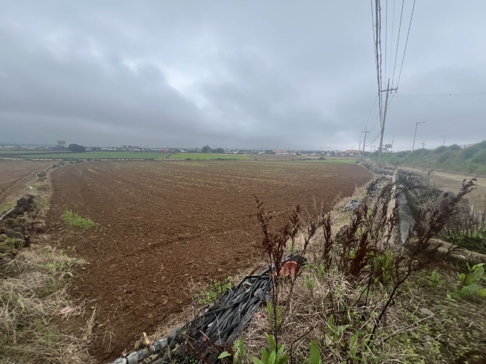 일련번호 1) 전경