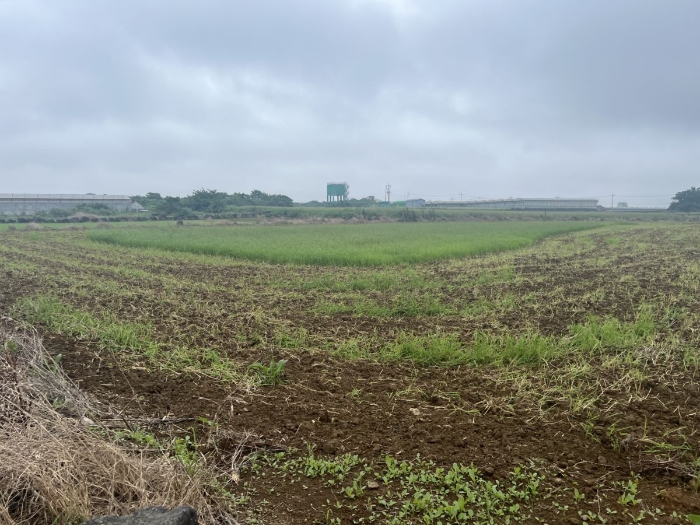 일련번호 2),3) 전경