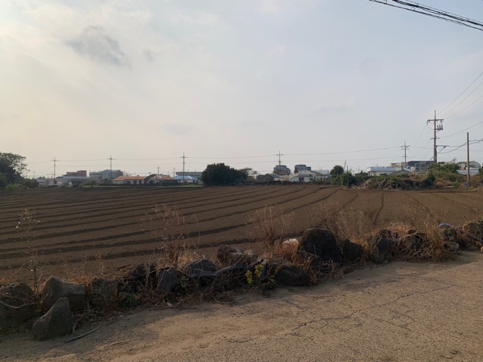 표지