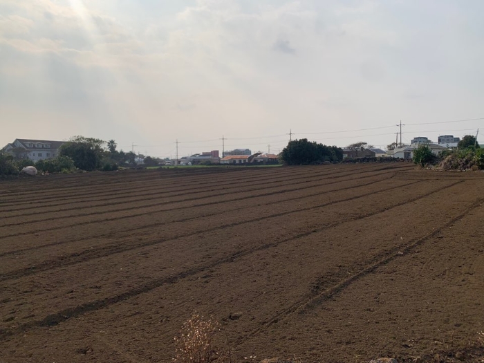 본건 전경