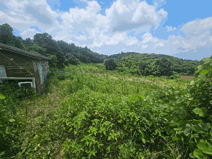 기호(18) 전경