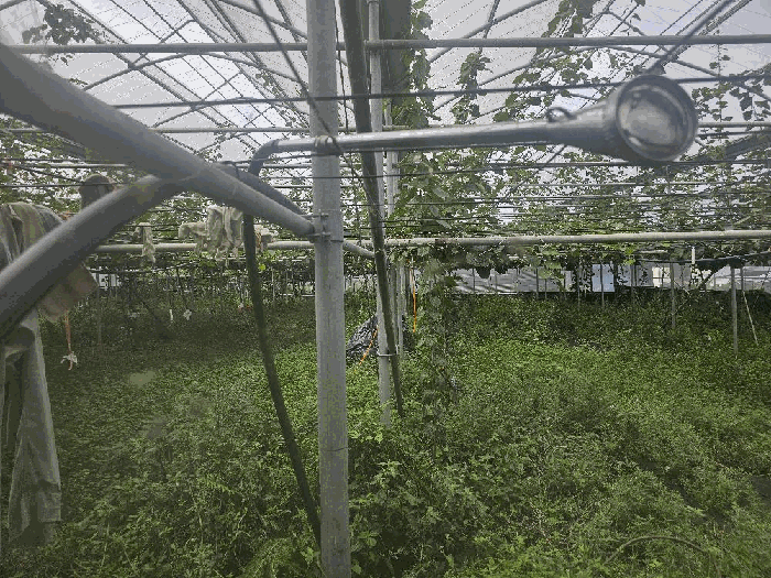 기호(3,5) 전경