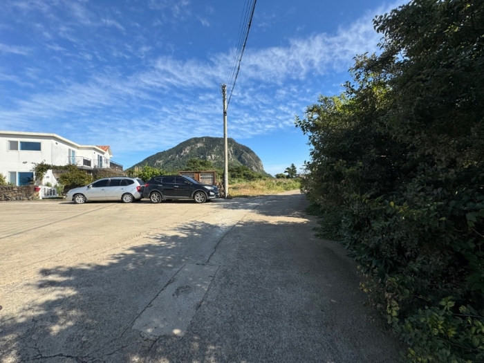 주 위 환 경