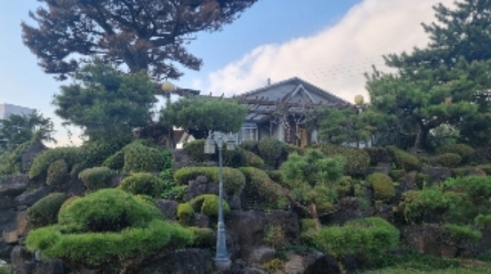 소재지1(토평동 2857-1) 지상에 식재된 조경수