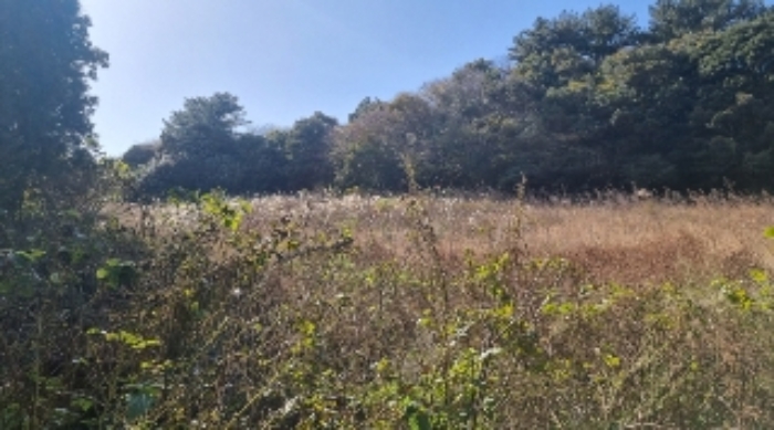 소재지2(가시리 3383) 전경4
