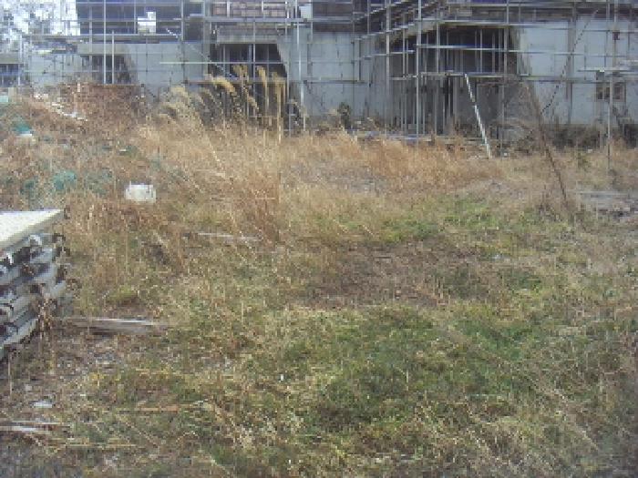 본건(두모리 1907) 전경 사진