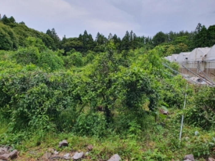 소재지1.(토산리 702) 전경