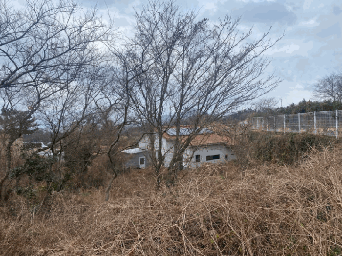 기호(6) 전경
