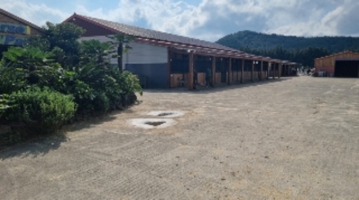 소재지2(송당리 2463) 전경1
