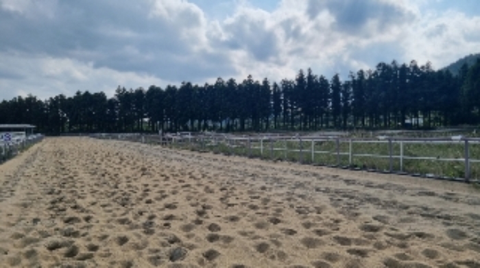 소재지2(송당리 2463) 전경3