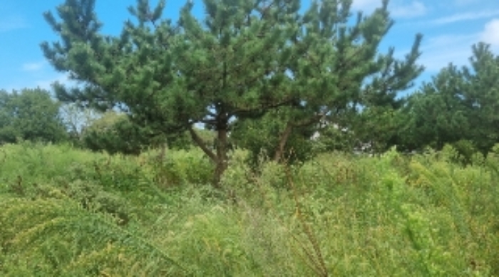 소재지9(김녕리 884) 전경1