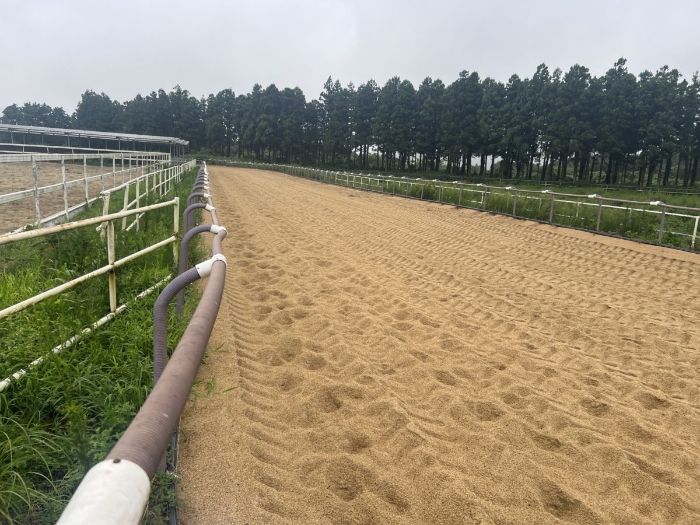 일련번호 1),2),7),12) 주 전경