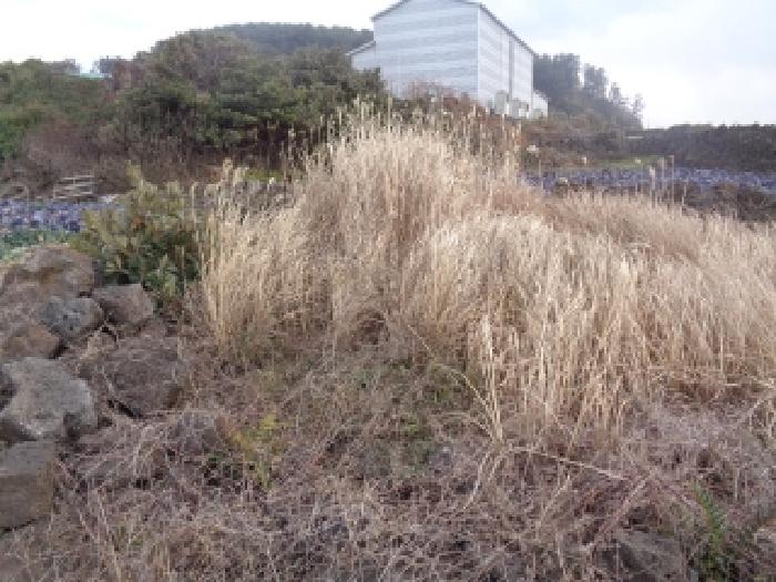 소재지 2. (곽지리 1524-3) 전경