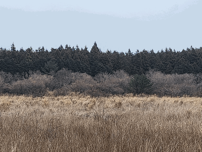 본건 전경